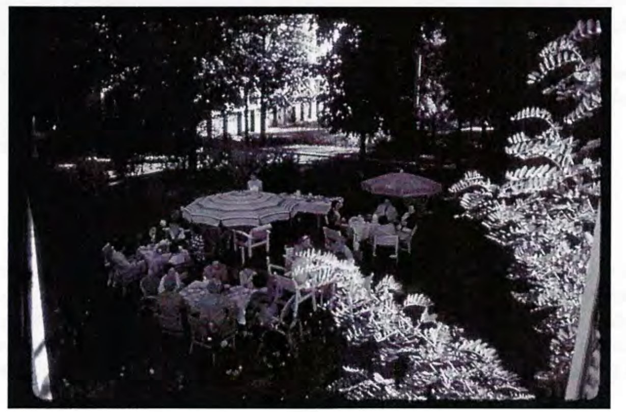 View across the garden during the farewell party, 1959